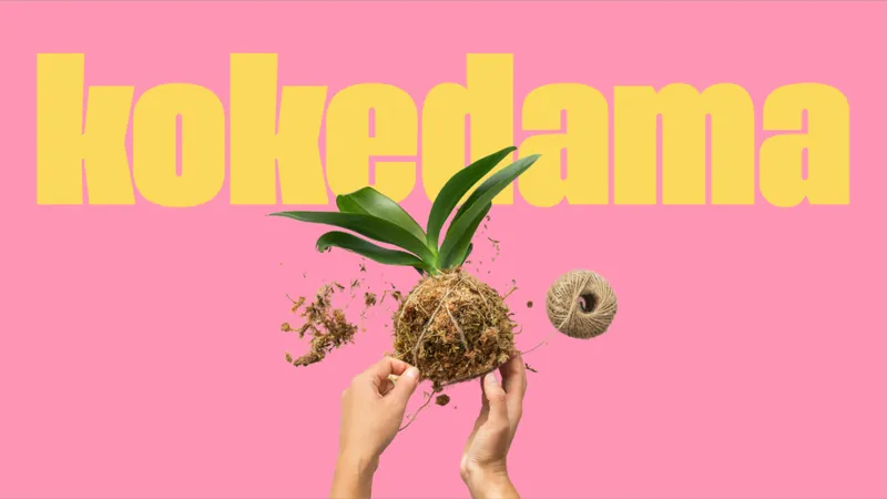 KOKEDAMA mon amour Workshop